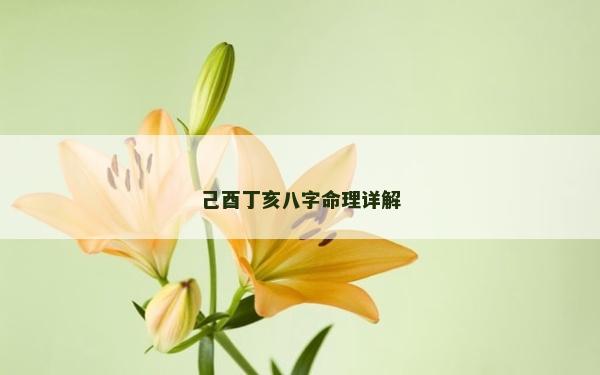 己酉丁亥八字命理详解