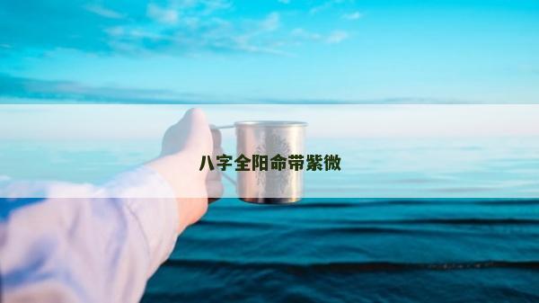 八字全阳命带紫微