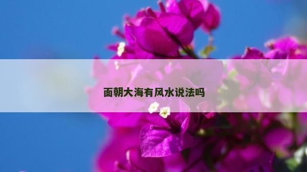面朝大海有风水说法吗