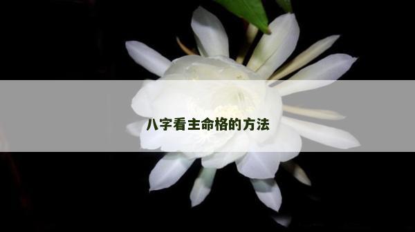 八字看主命格的方法