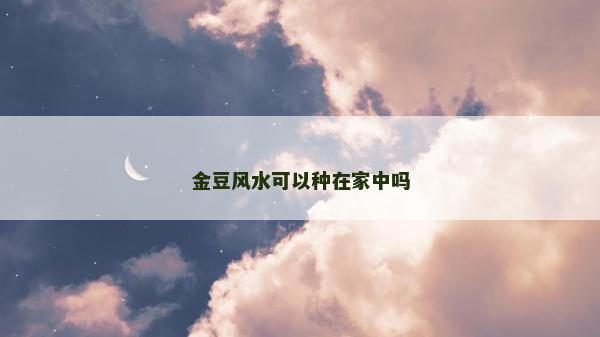金豆风水可以种在家中吗