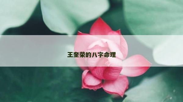 王奎荣的八字命理