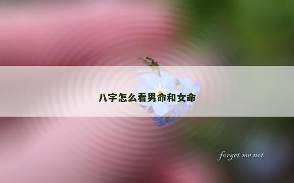 八字怎么看男命和女命