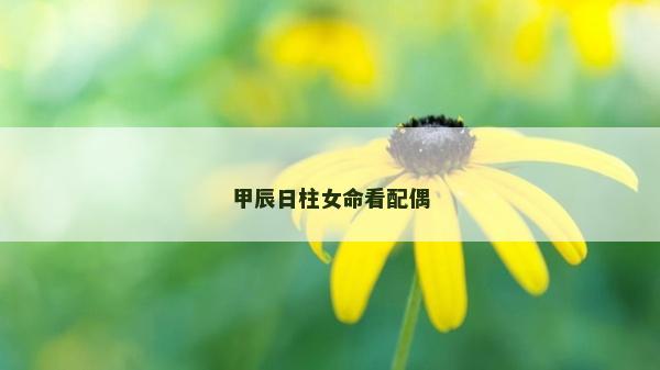 甲辰日柱女命看配偶