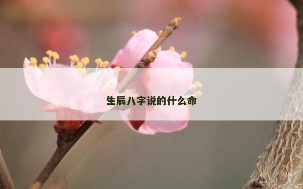 生辰八字说的什么命