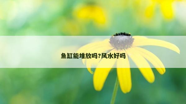 鱼缸能堆放吗?风水好吗