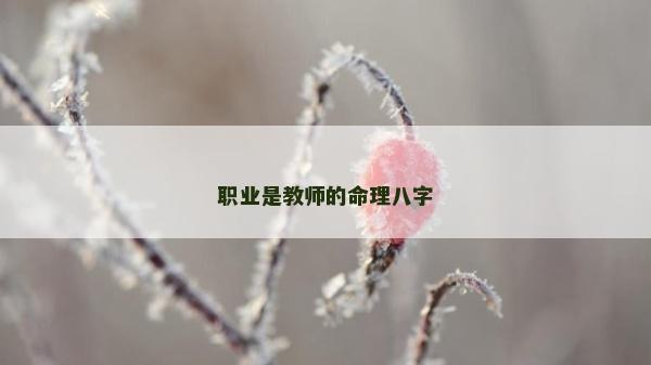 职业是教师的命理八字