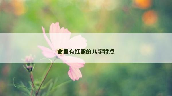命里有红鸾的八字特点