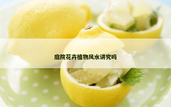 庭院花卉植物风水讲究吗