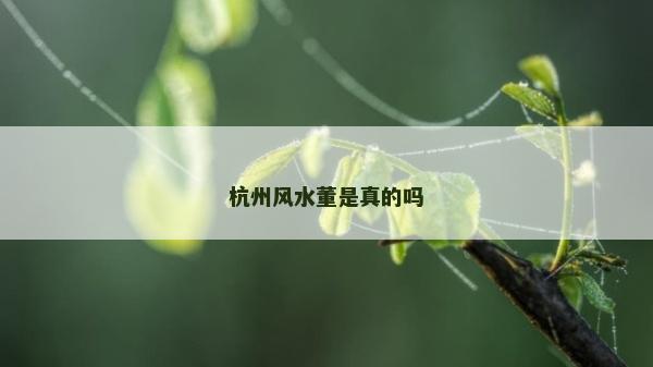 杭州风水董是真的吗