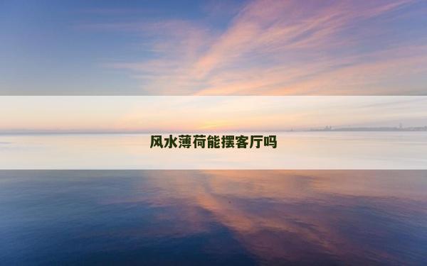 风水薄荷能摆客厅吗