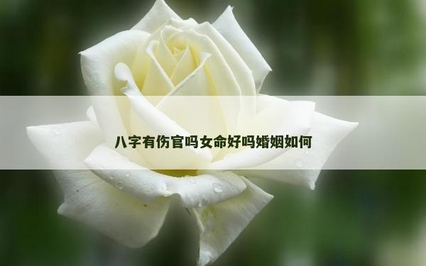 八字有伤官吗女命好吗婚姻如何