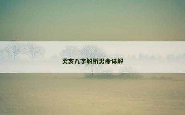癸亥八字解析男命详解