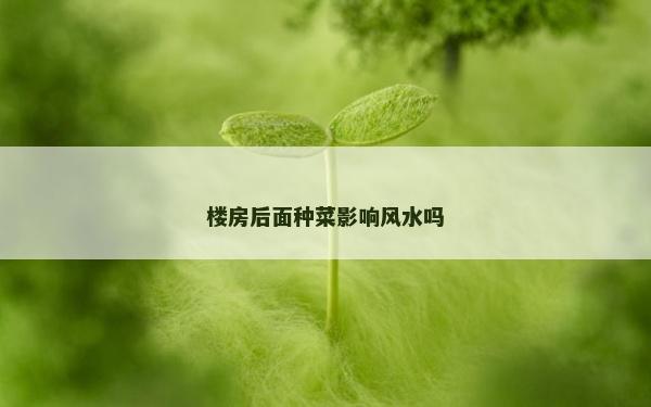 楼房后面种菜影响风水吗