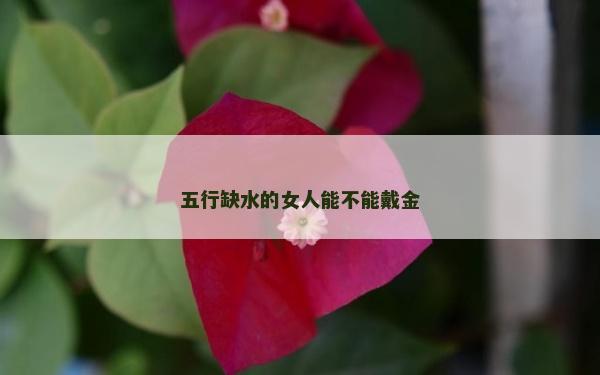 五行缺水的女人能不能戴金