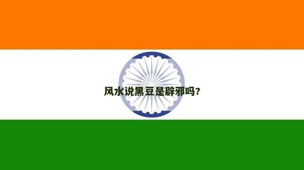 风水说黑豆是辟邪吗?