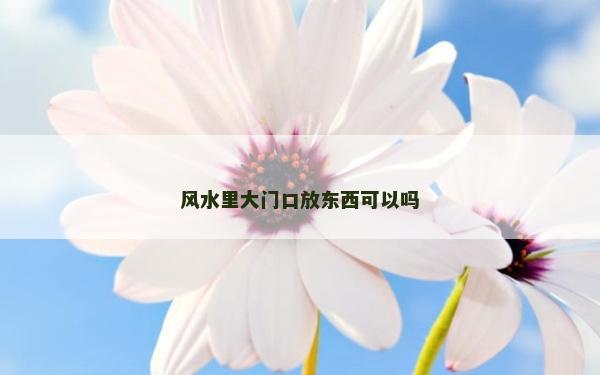 风水里大门口放东西可以吗