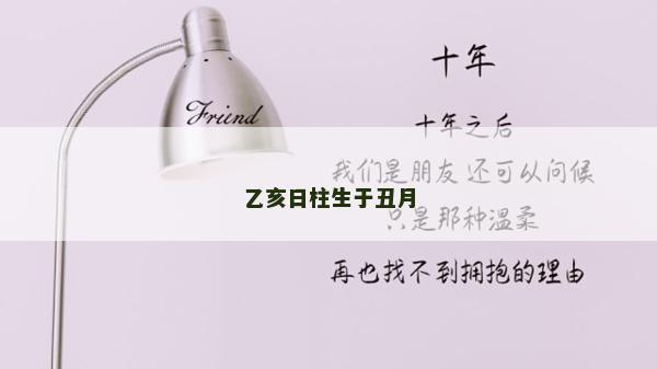 乙亥日柱生于丑月