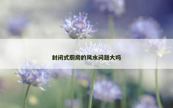 封闭式厨房的风水问题大吗