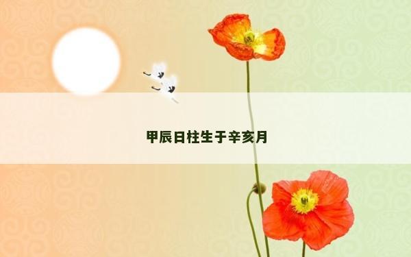 甲辰日柱生于辛亥月