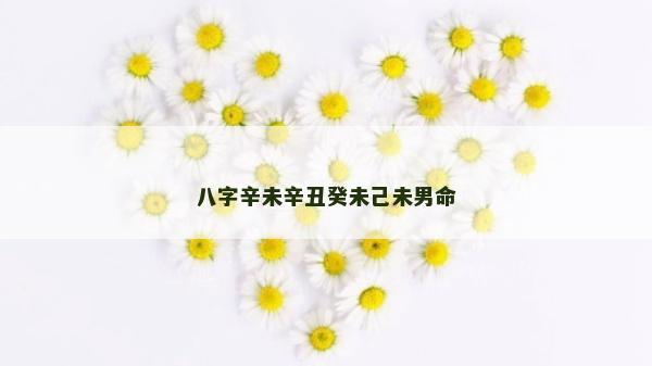 八字辛未辛丑癸未己未男命