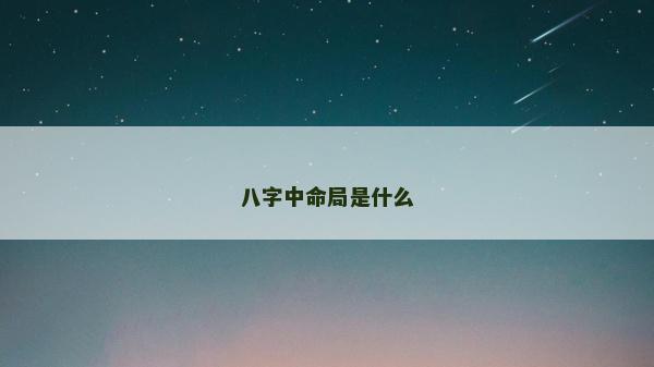 八字中命局是什么