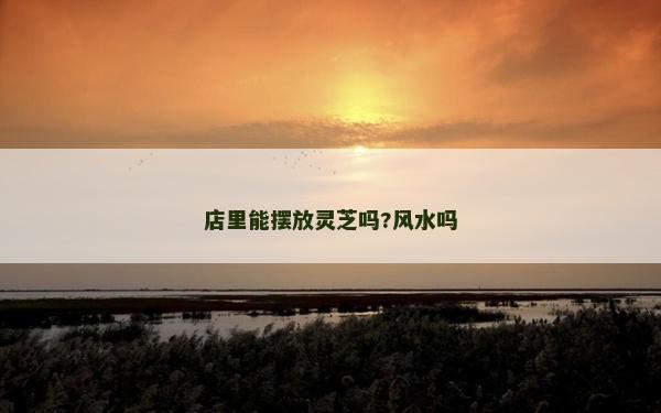 店里能摆放灵芝吗?风水吗