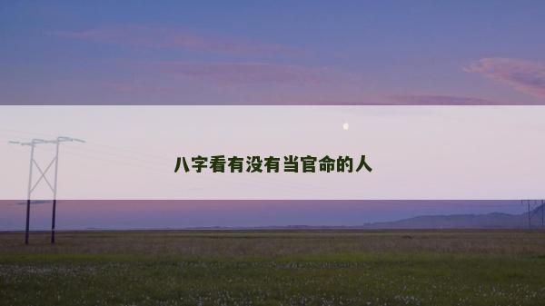 八字看有没有当官命的人