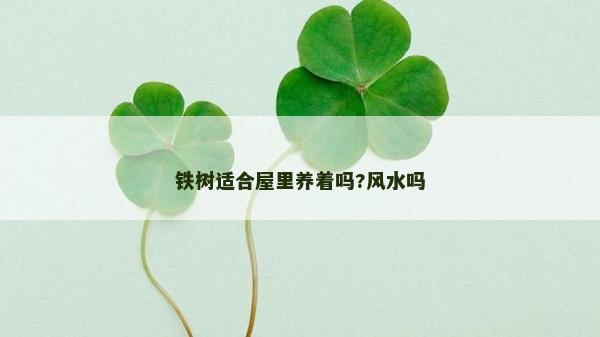 铁树适合屋里养着吗?风水吗