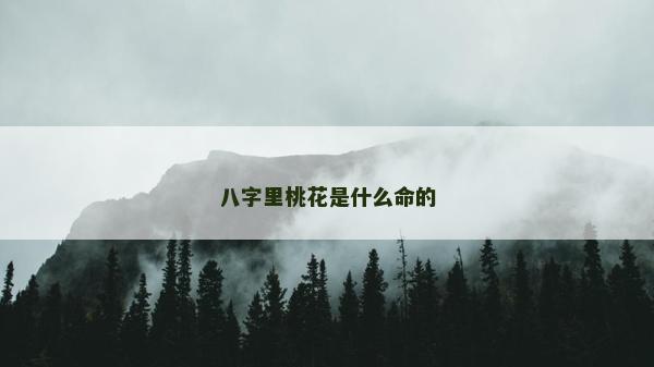 八字里桃花是什么命的