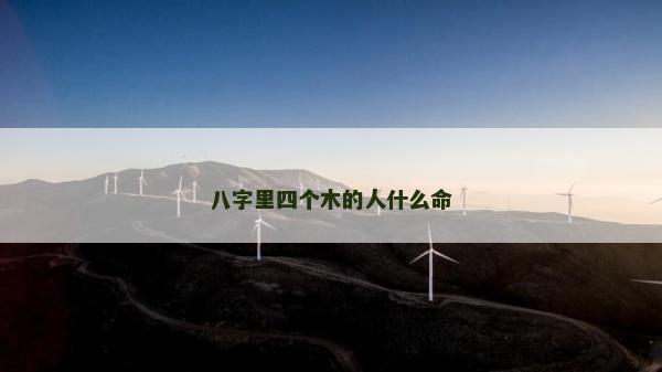 八字里四个木的人什么命