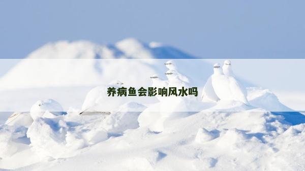 养病鱼会影响风水吗