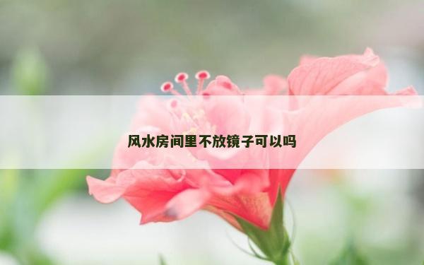 风水房间里不放镜子可以吗