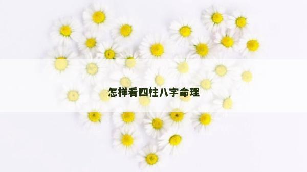 怎样看四柱八字命理