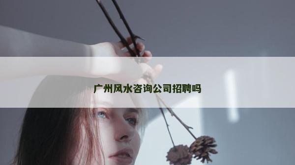 广州风水咨询公司招聘吗
