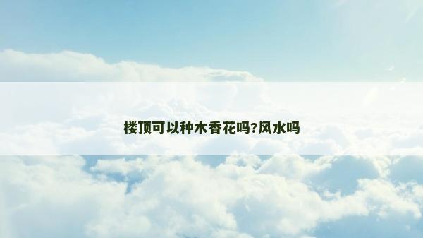 楼顶可以种木香花吗?风水吗