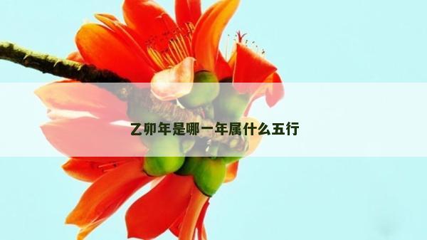 乙卯年是哪一年属什么五行