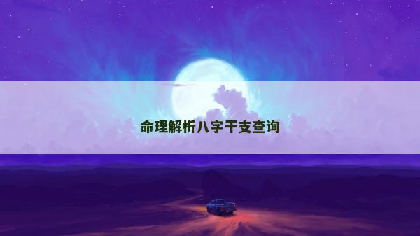 命理解析八字干支查询
