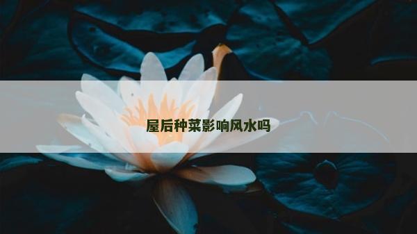 屋后种菜影响风水吗