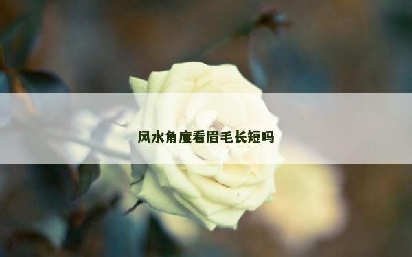 风水角度看眉毛长短吗