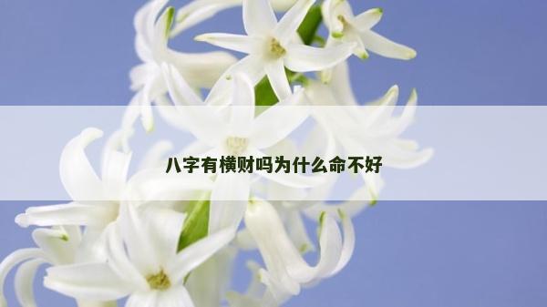 八字有横财吗为什么命不好
