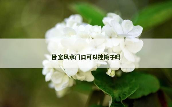 卧室风水门口可以挂镜子吗
