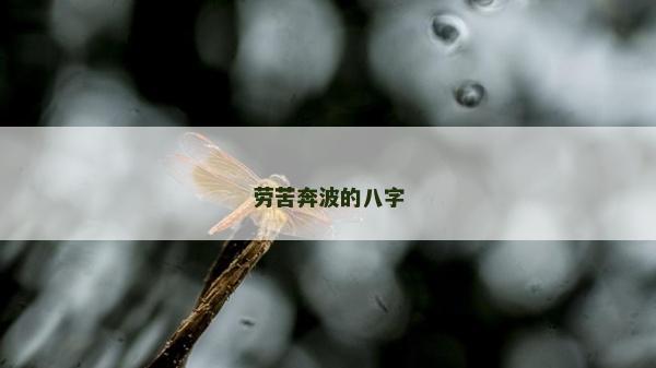 劳苦奔波的八字