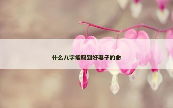 什么八字能取到好妻子的命