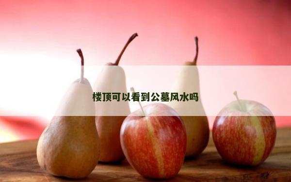 楼顶可以看到公墓风水吗