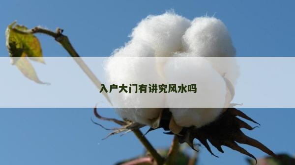入户大门有讲究风水吗