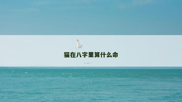 猫在八字里算什么命