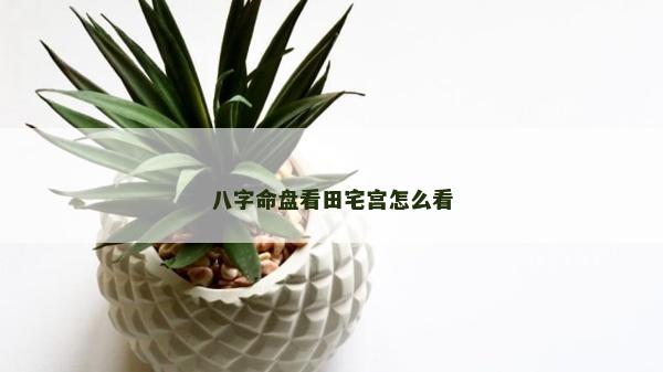 八字命盘看田宅宫怎么看