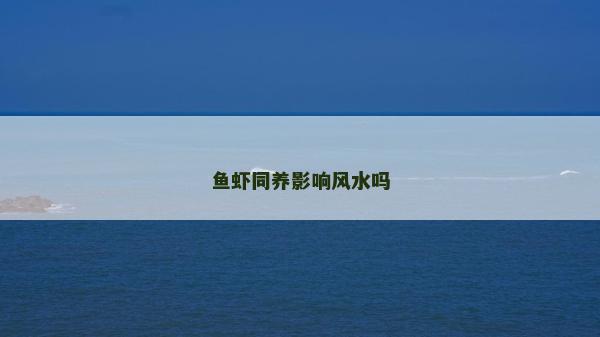 鱼虾同养影响风水吗