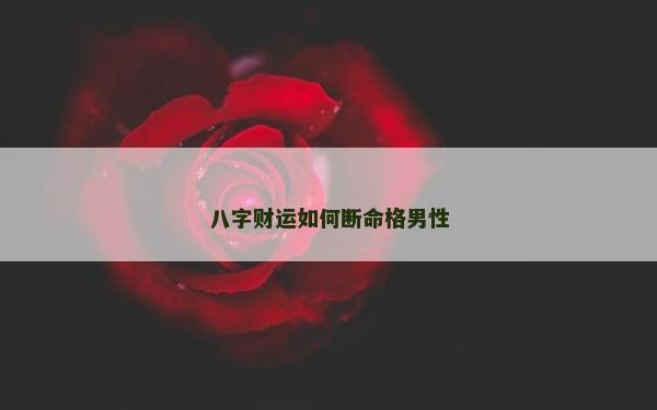 八字财运如何断命格男性